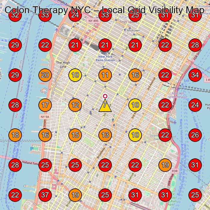 Colon Therapy NYC GeoGrid visibility map for Wellness Program in Brooklyn